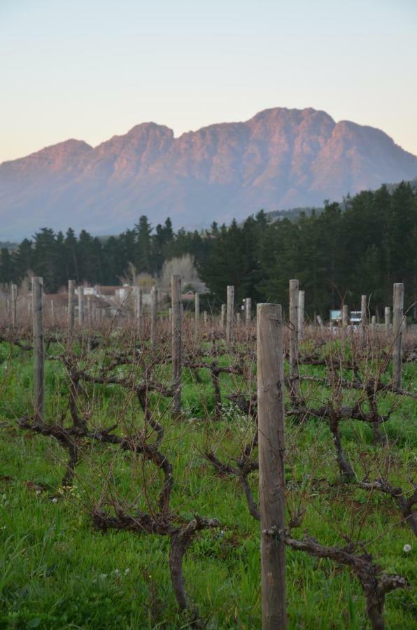 Willa Art House Stellenbosch Zewnętrze zdjęcie